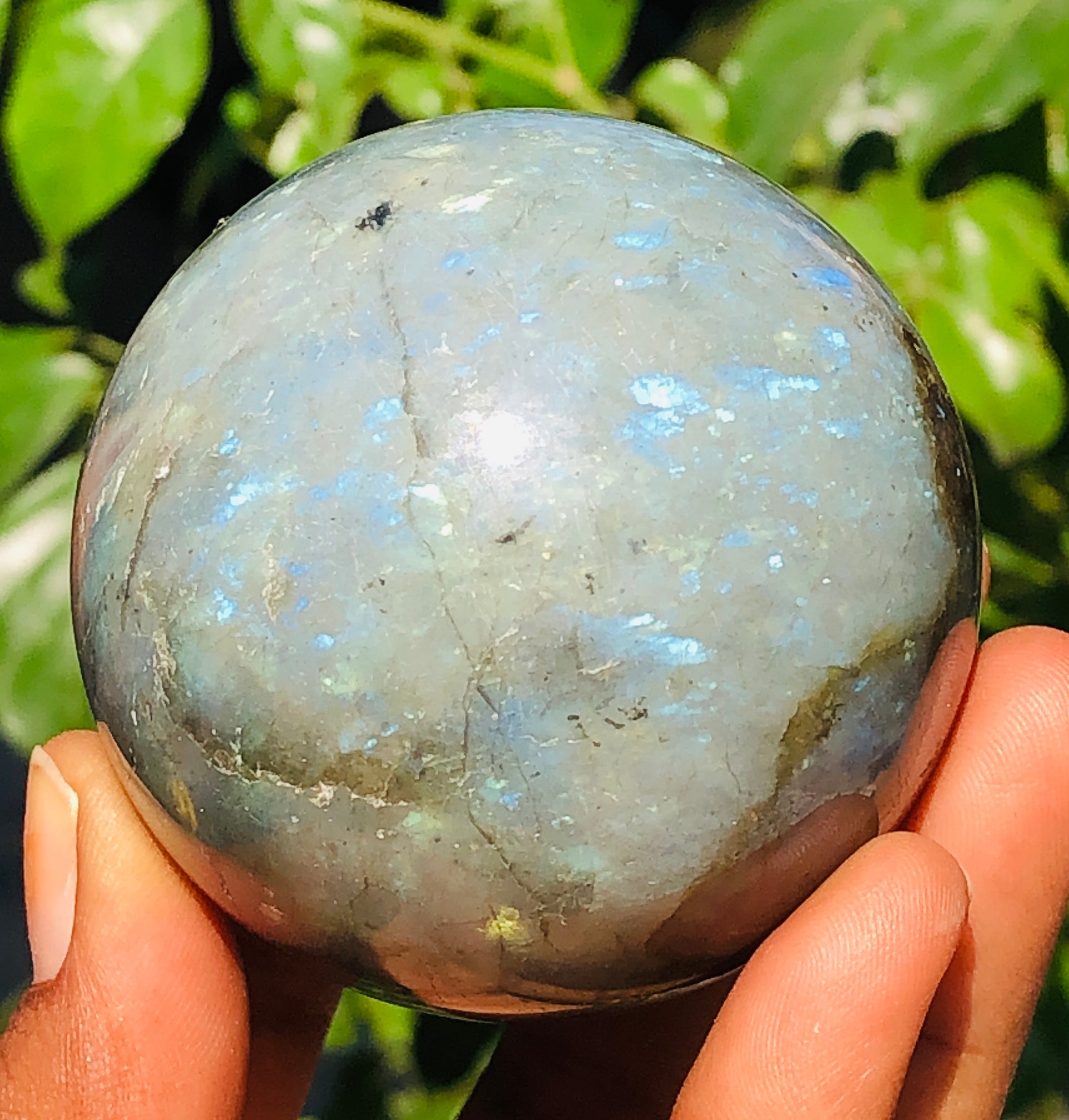 Plesing 1225.00 Cts Genuine Blue Flash Labradorite Healing Ball Premium Sphere Crystal