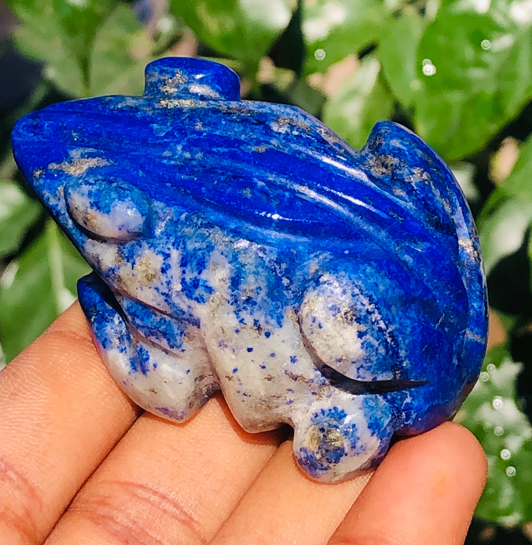 Gorgeous 426.00 Cts Genuine Blue Lapis Lazuli Crystal Hand Carved Premium Frog