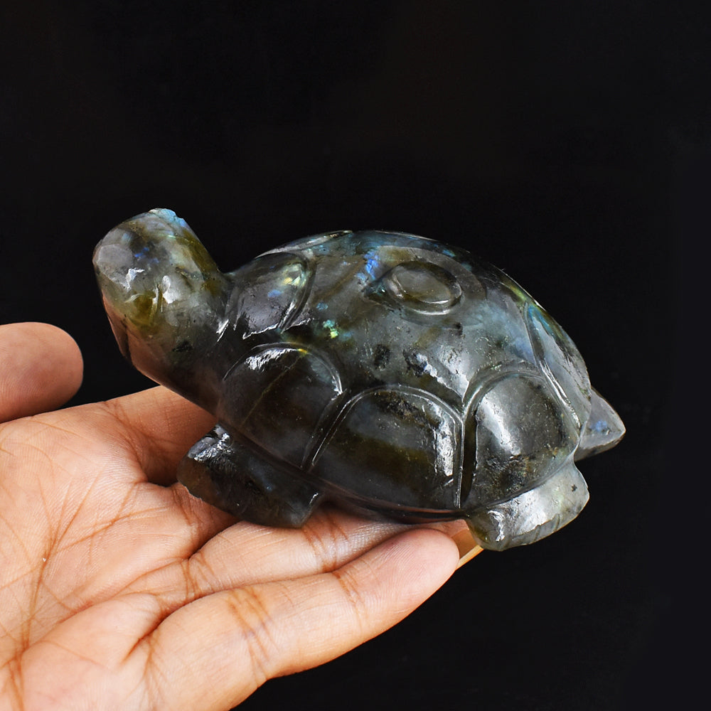 Exclusive 973.00 Carats Genuine Golden & Blue Flash Labradorite Hand Carved  Crystal  Turtle Carving