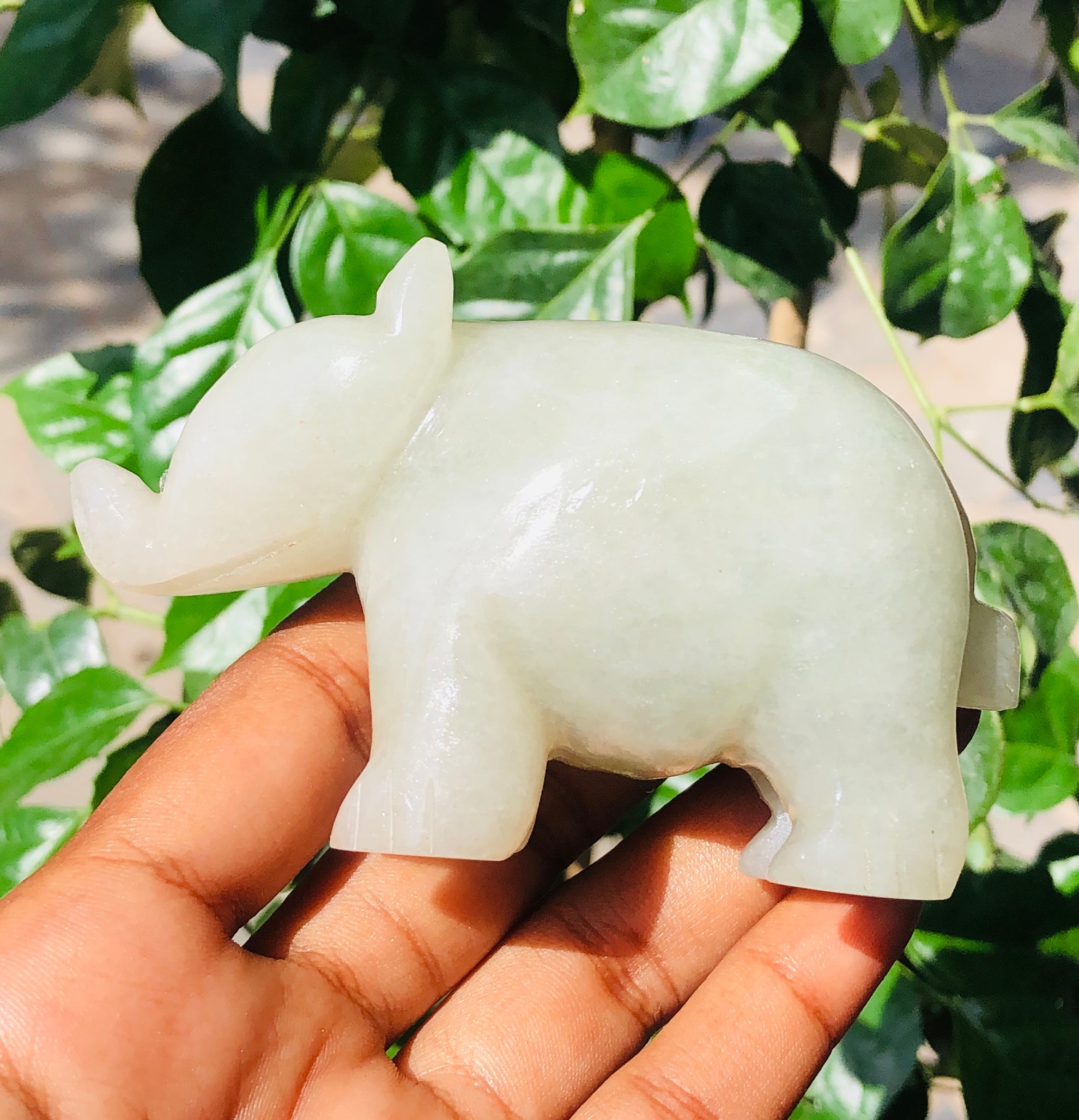 Amazing 1104.00 Carats Genuine Aventurine Crystal Gemstone Hand Carved Pig 2026 Collection