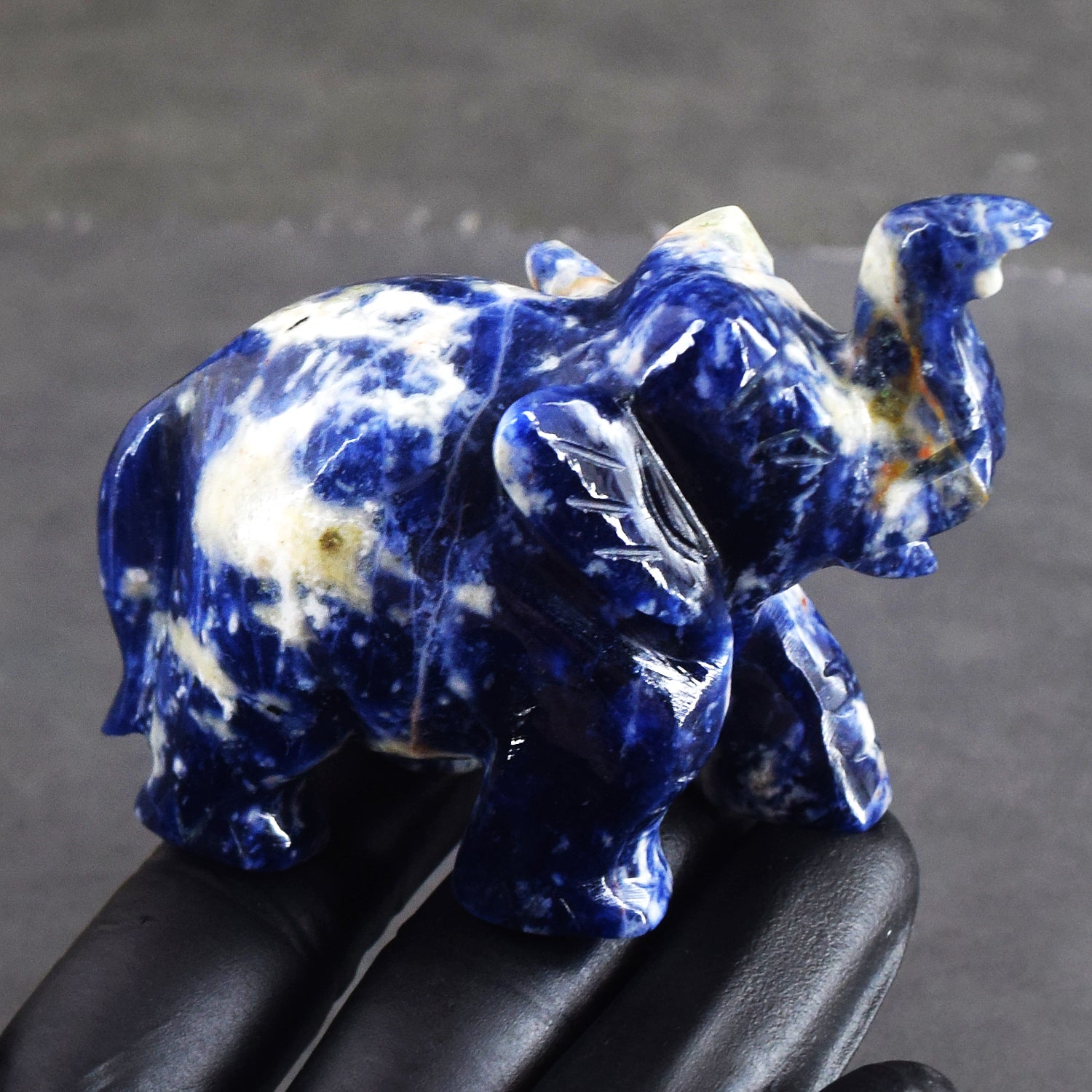 Awesome 604.00 Cts Genuine Sodalite Carved Premium Crystal Elephant