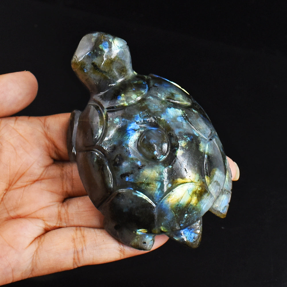 Exclusive 973.00 Carats Genuine Golden & Blue Flash Labradorite Hand Carved  Crystal  Turtle Carving