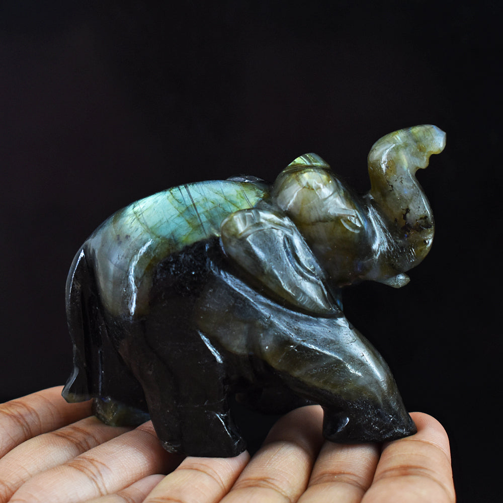 Artisian 1330.00 Cts Golden & Blue Flash Labradorite Hand Carved  Crystal Gemstone Elephant Carving