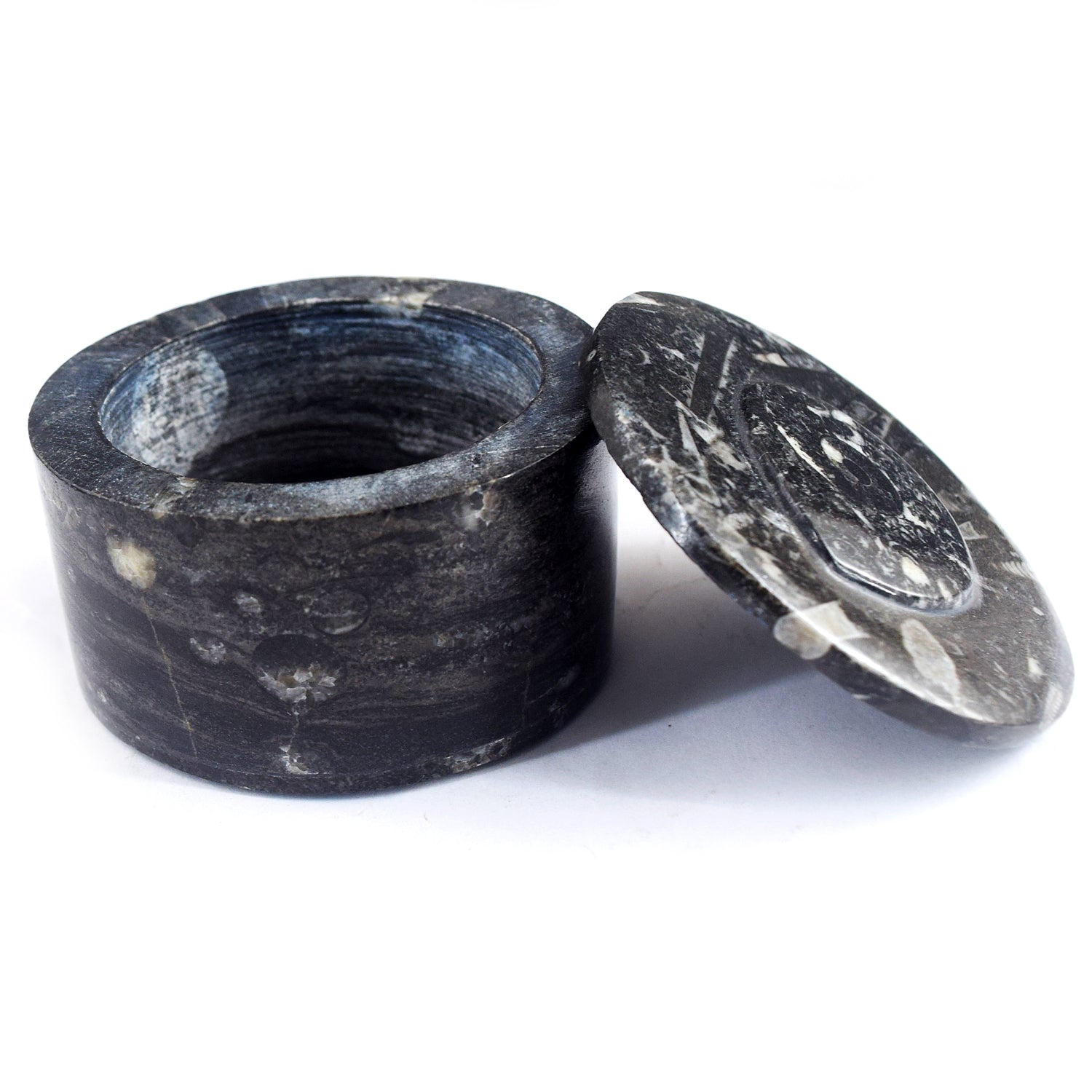 Morbid 1093.00 Cts Genuine Orthoceras Crystal Specimen Round Shape Box