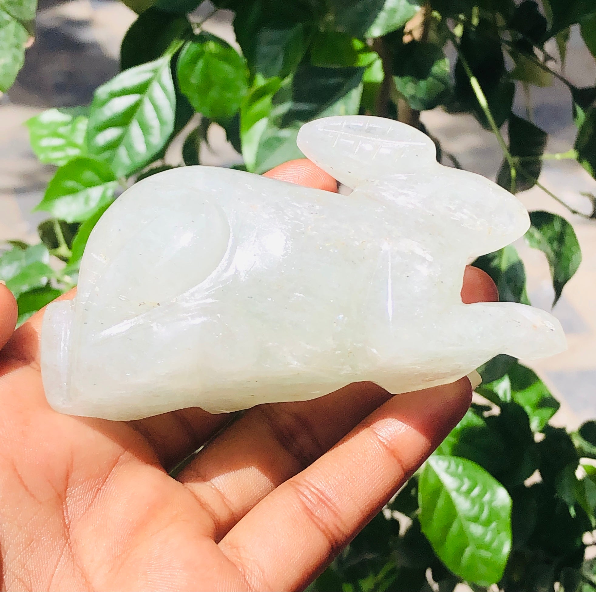 Stunning 868.00 Carats Green Aventurine Crystal Hand Carved Bunny Gemstone 2026  Collection