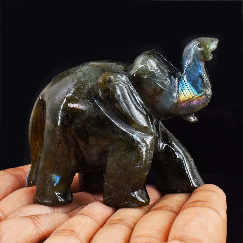 887.00  Cts  Blue & Golden Flash Labradorite Hand Carved Genuine Crystal Gemstone Carving Elephant