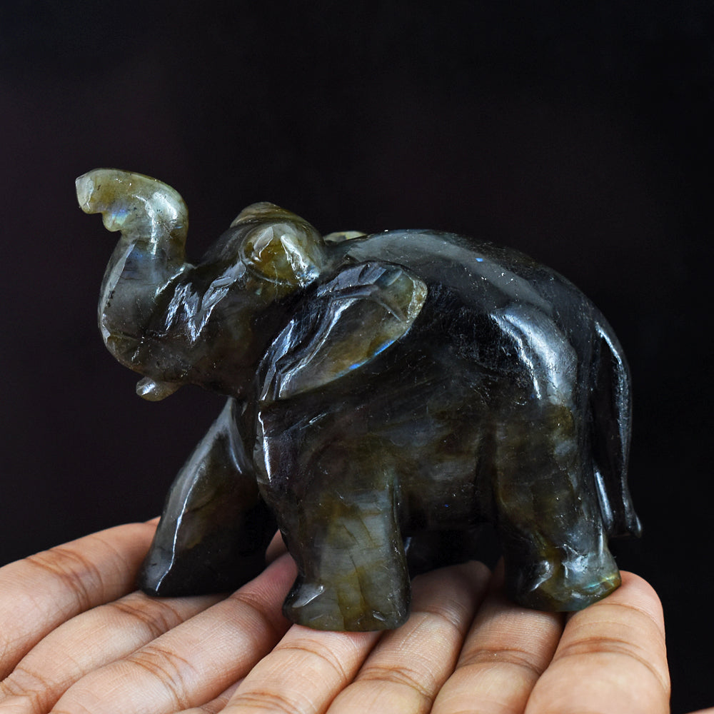 Artisian 1330.00 Cts Golden & Blue Flash Labradorite Hand Carved  Crystal Gemstone Elephant Carving