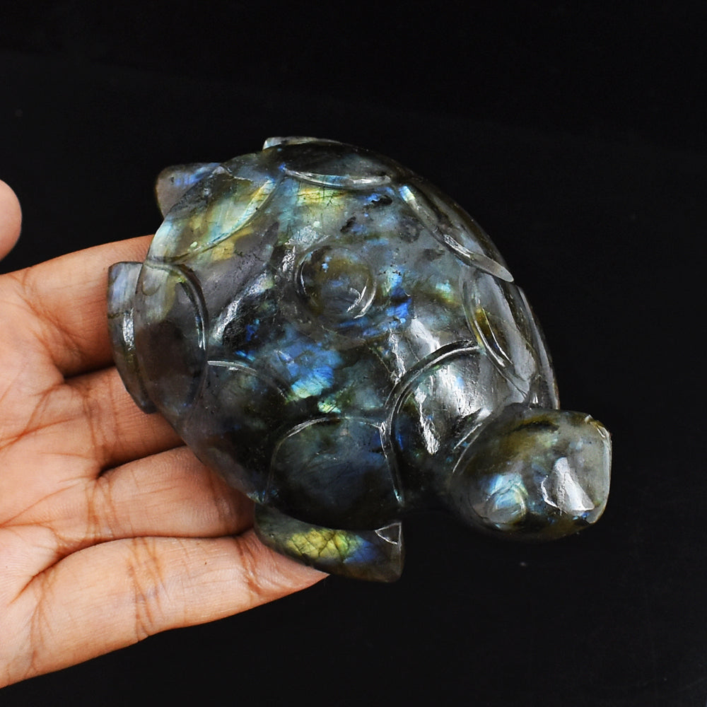 Exclusive 973.00 Carats Genuine Golden & Blue Flash Labradorite Hand Carved  Crystal  Turtle Carving