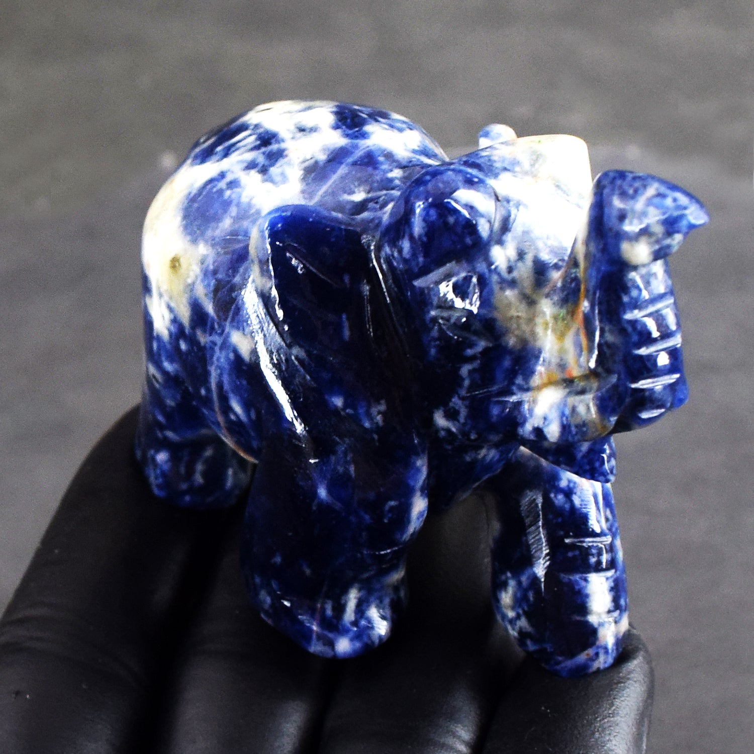 Awesome 604.00 Cts Genuine Sodalite Carved Premium Crystal Elephant