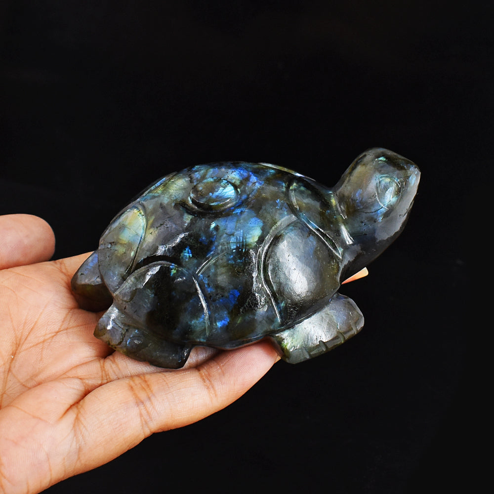 Exclusive 973.00 Carats Genuine Golden & Blue Flash Labradorite Hand Carved  Crystal  Turtle Carving