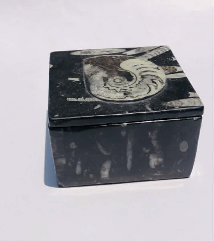 Exquisite 2350.00 Cts Genuine Orthoceras Crystal Specimen Square Shape Box