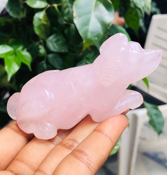 Exclusive 477.00 Cts Genuine Pink Rose Quartz Hand Carved Crystal Gemstone Dog Carving 2026  Collection
