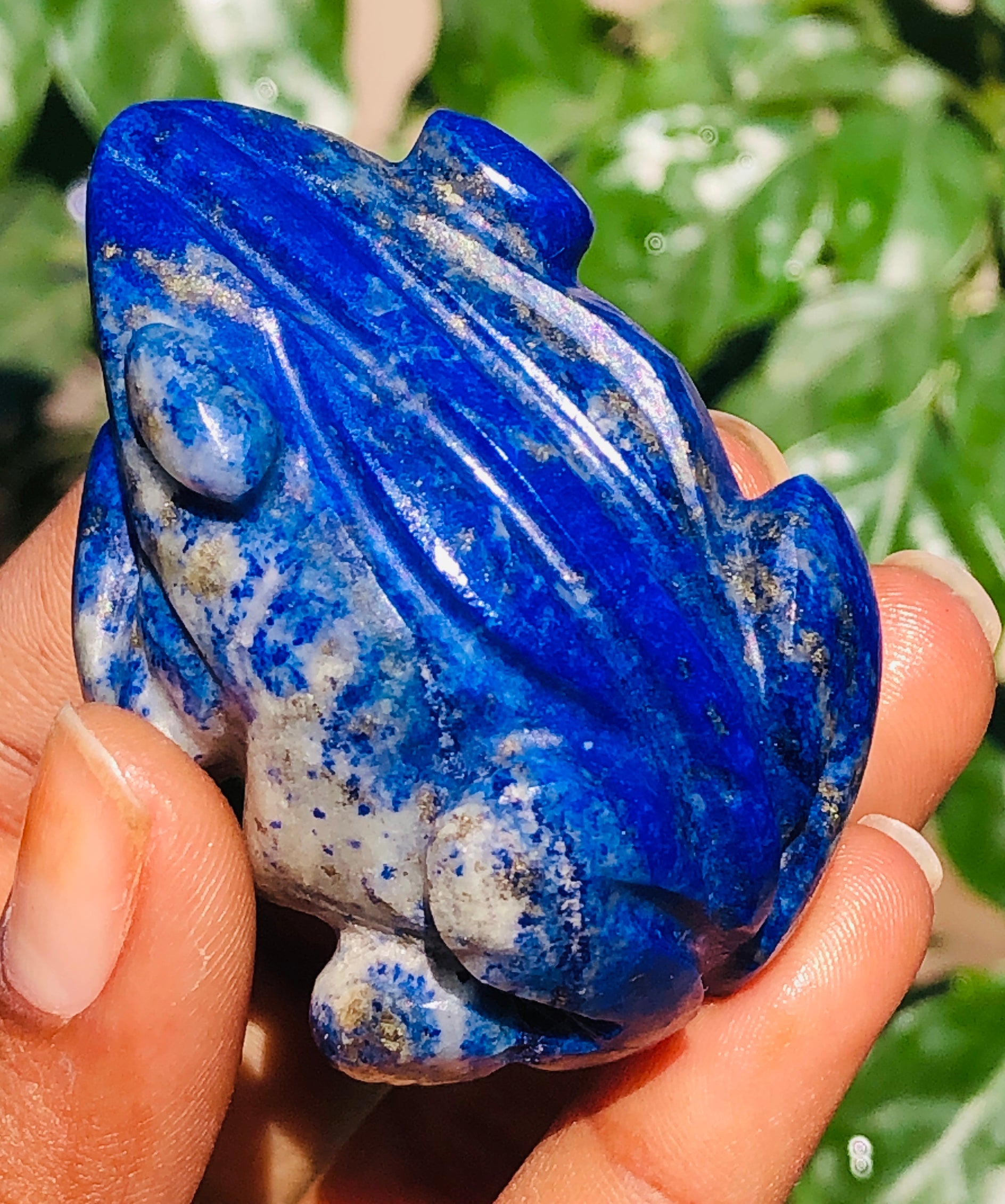 Gorgeous 426.00 Cts Genuine Blue Lapis Lazuli Crystal Hand Carved Premium Frog