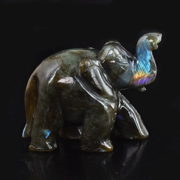 887.00  Cts  Blue & Golden Flash Labradorite Hand Carved Genuine Crystal Gemstone Carving Elephant