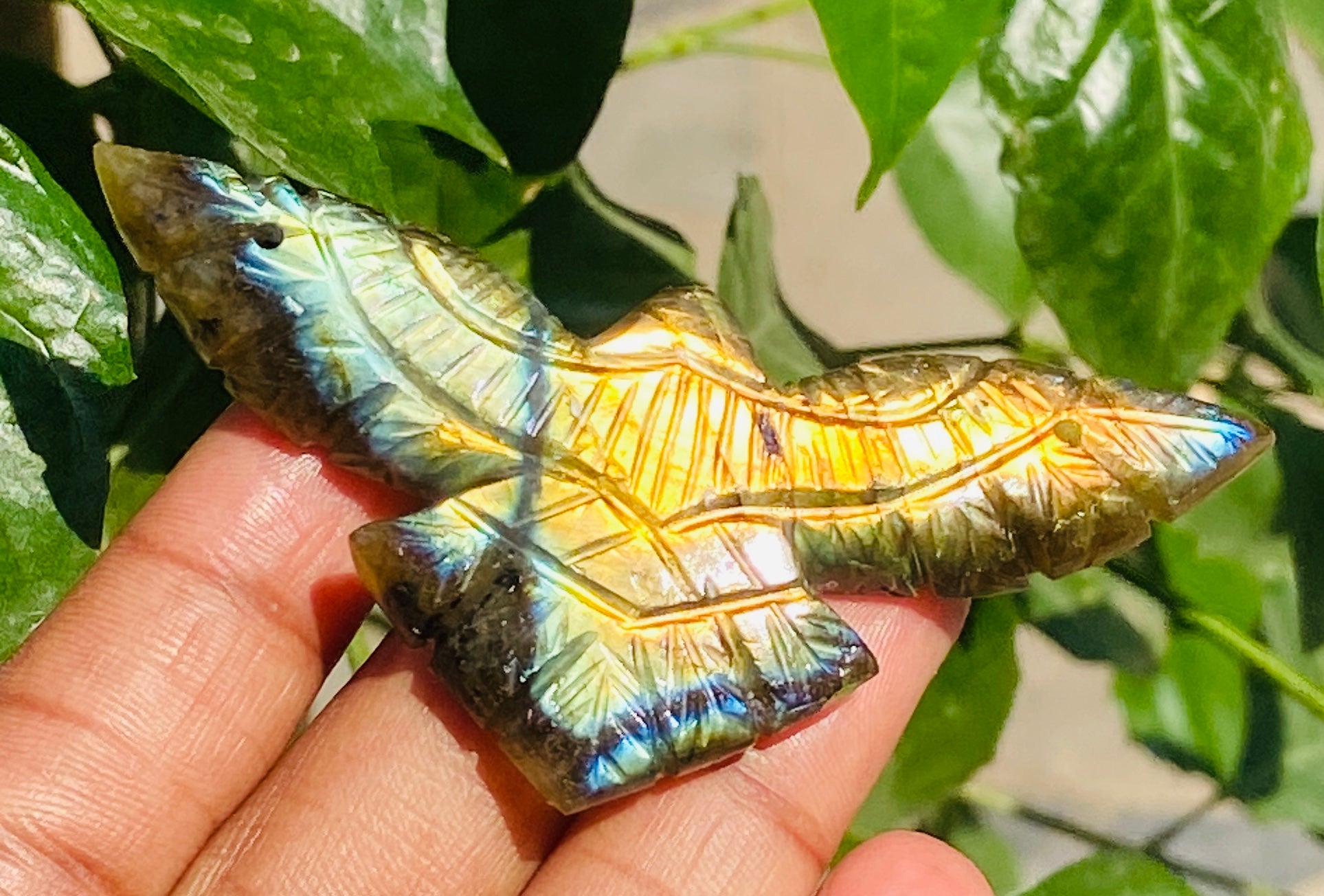 Amusing 96.00 Cts Genuine Flashy Labradorite Hand Carved Premium Eagle Crystal