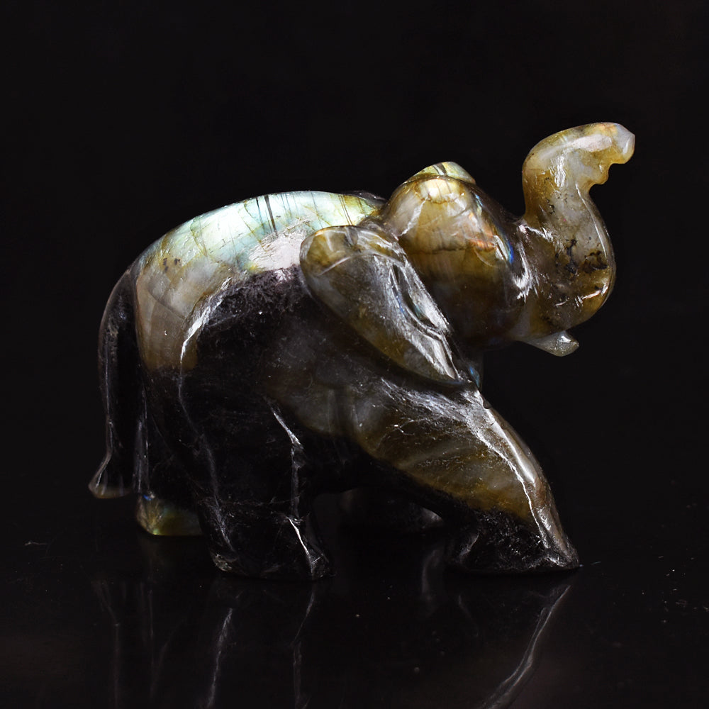 Artisian 1330.00 Cts Golden & Blue Flash Labradorite Hand Carved  Crystal Gemstone Elephant Carving