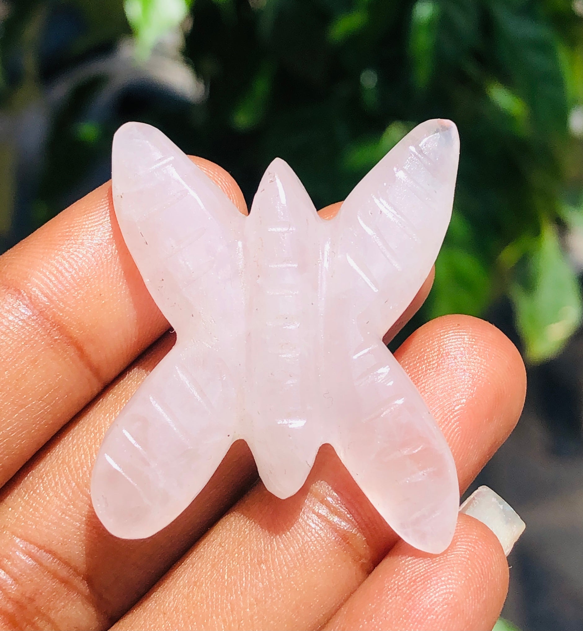 Stunning 62.00 Cts Genuine Rose Quartz Crystal Carved Premium Butterfly 2026  Collection