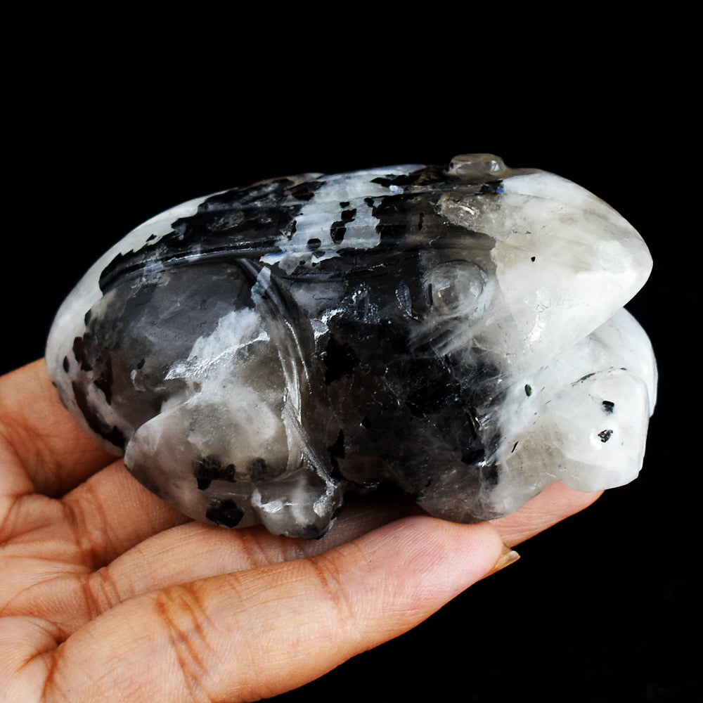 Blue Flash Moonstone 678.00 Cts  Hand Carved Genuine Crystal  Gemstone  Carving Frog