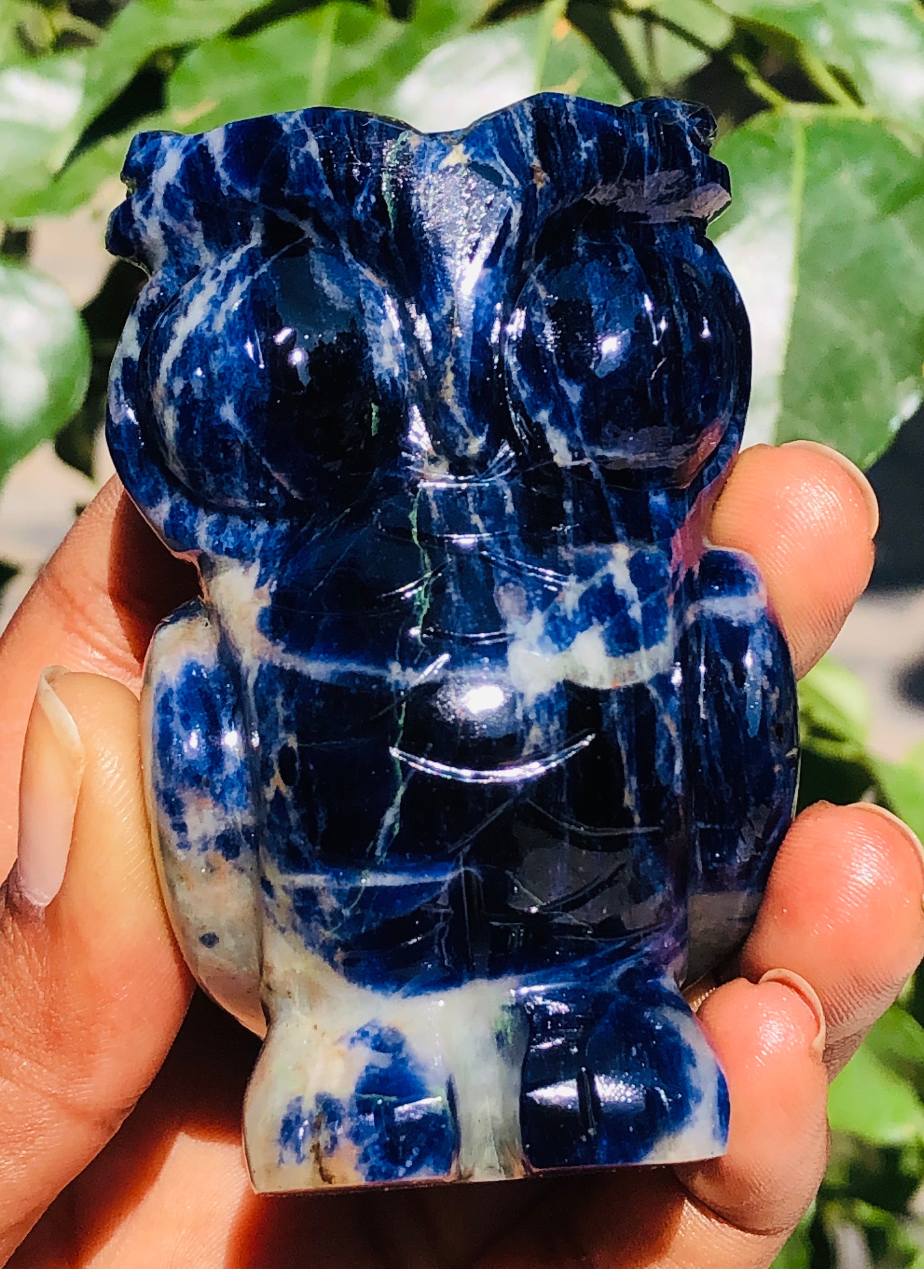 Outstanding 900.00 Cts Genuine Sodalite Hand Carved Gemstone Premium Owl Crystal