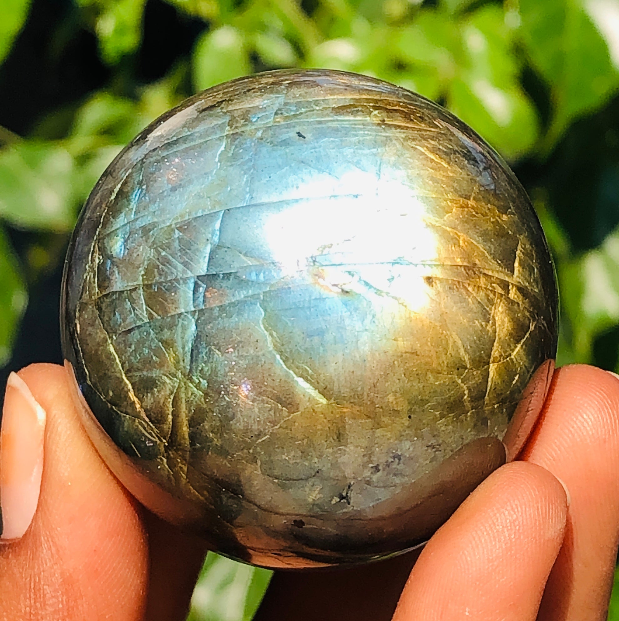 Elegant 586.00 Cts Genuine Golden & Blue Flash Labradorite Healing Ball Premium Sphere Crystal
