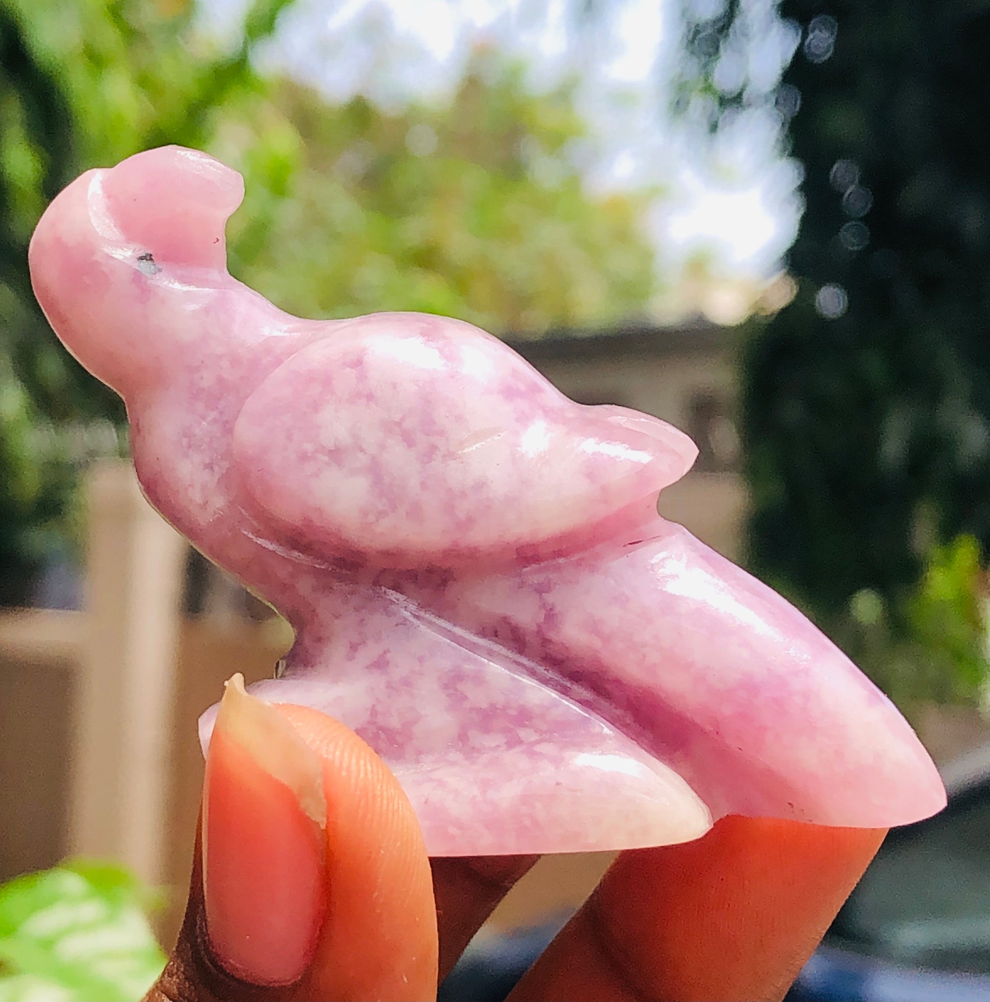 Natural 269.00 Cts Genuine Lepidolite Crystal Gemstone Hand Carved Bird 2026  Collection
