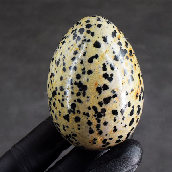 Artisian 811.00 Cts Genuine Dalmation Jasper Crystal Premium Healing Egg