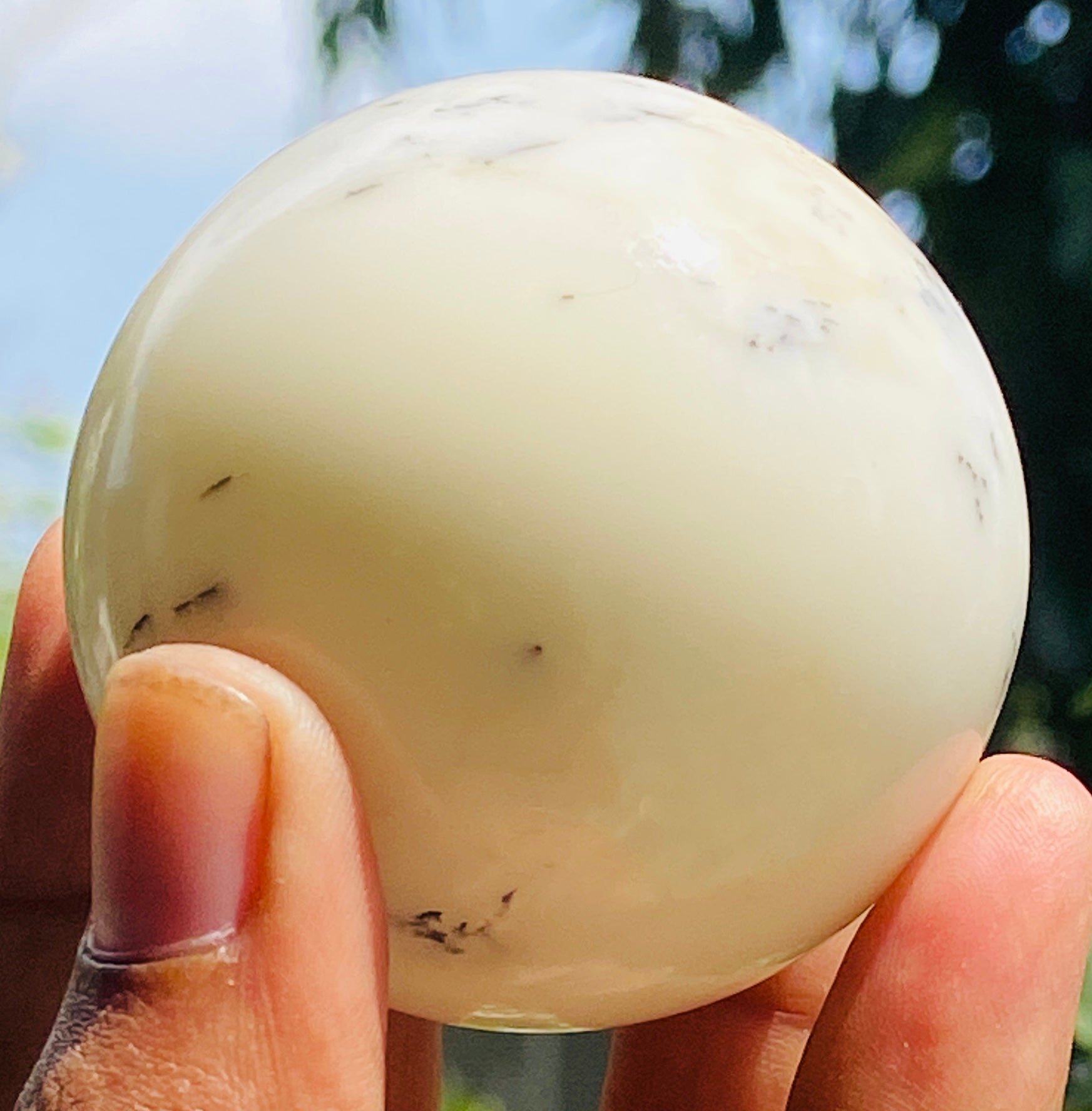 Exclusive 628.00 Cts Genuine Dendrite Opal Carved Healing Sphere