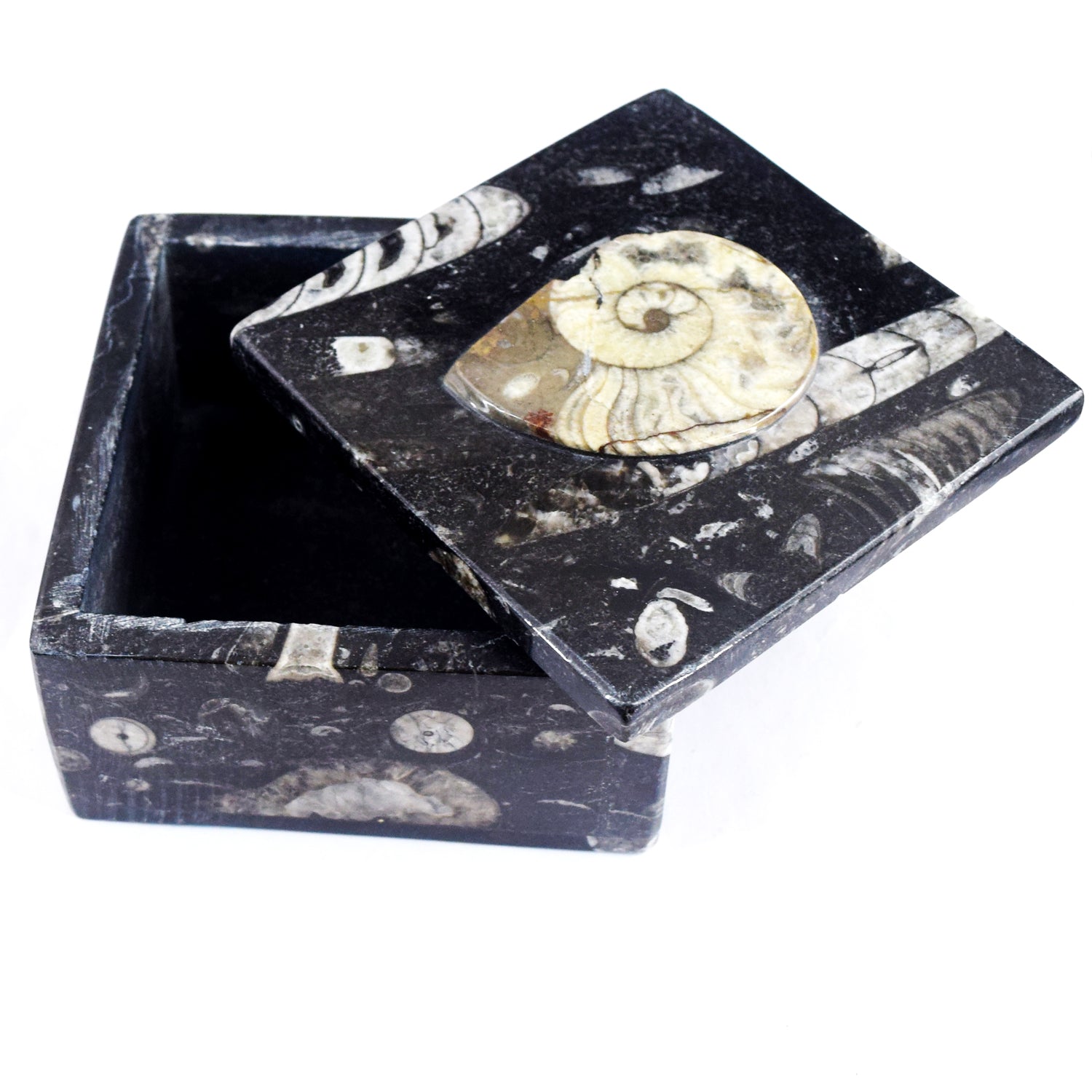 Top Quality Ever 2330.00 Cts Genuine Orthoceras Crystal Specimen Square Shape Box