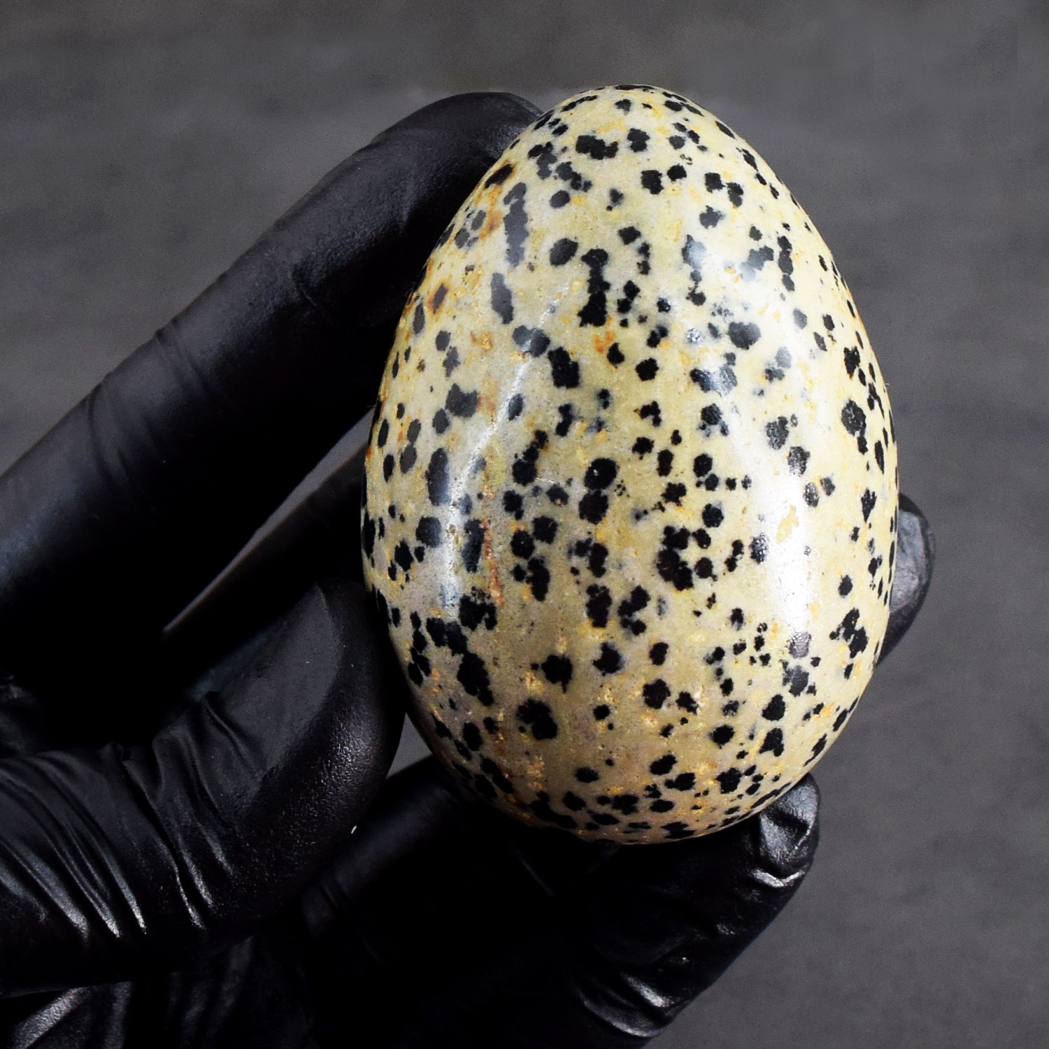 Artisian 811.00 Cts Genuine Dalmation Jasper Crystal Premium Healing Egg