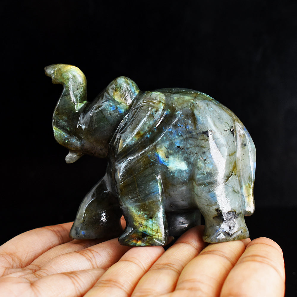 Artisian 912.00 CtsGenuine Golden & Blue Flash Labradorite Hand Carved Gemstone Carving Elephant