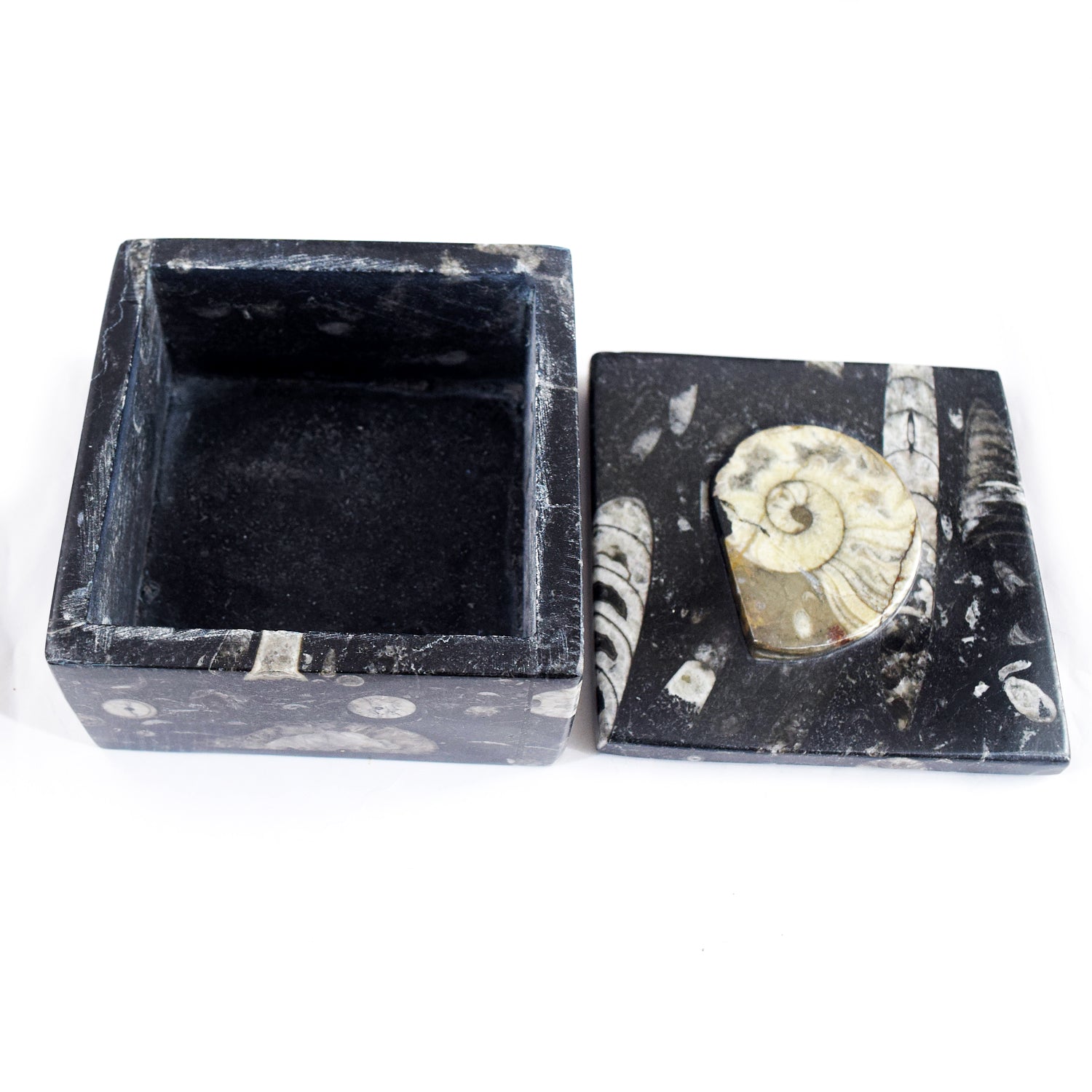 Top Quality Ever 2330.00 Cts Genuine Orthoceras Crystal Specimen Square Shape Box