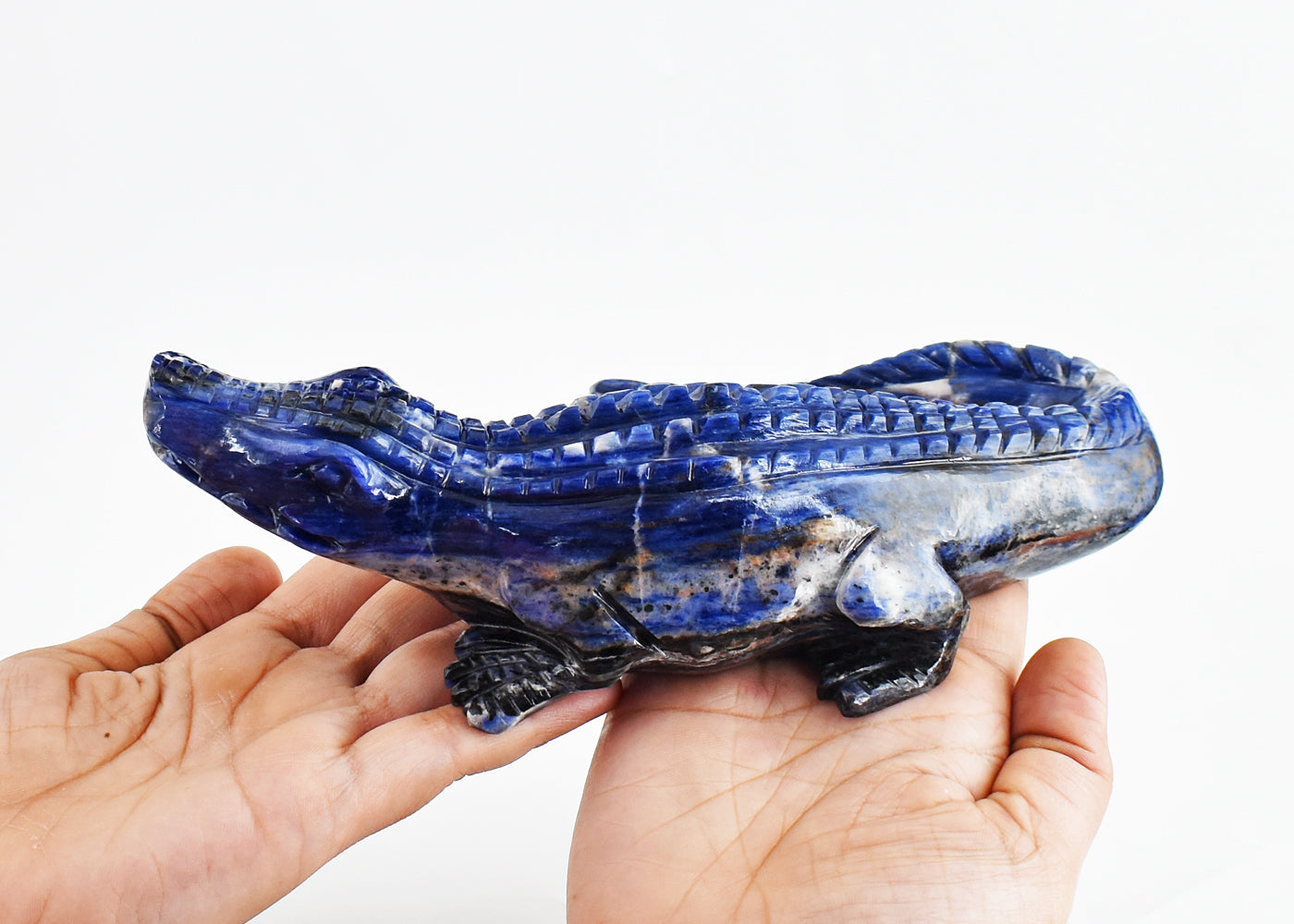 Natural 3571.00 Carats Genuine Sodalite Hand Carved Crystal Crocodile Gemstone Carving