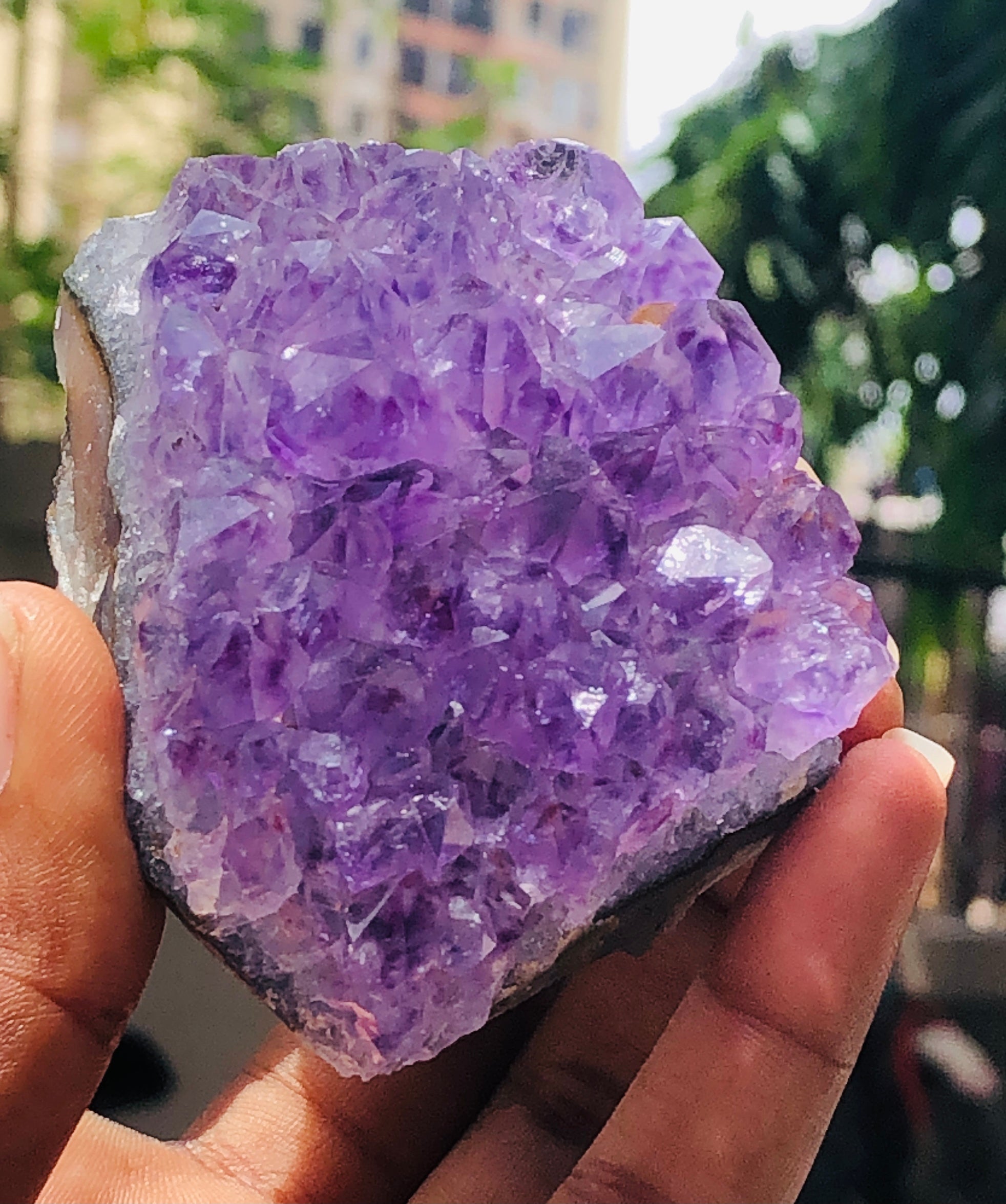 Awesome 856.00 Cts Genuine Amethyst Crystal Specimen Healing Cluster Gemstone