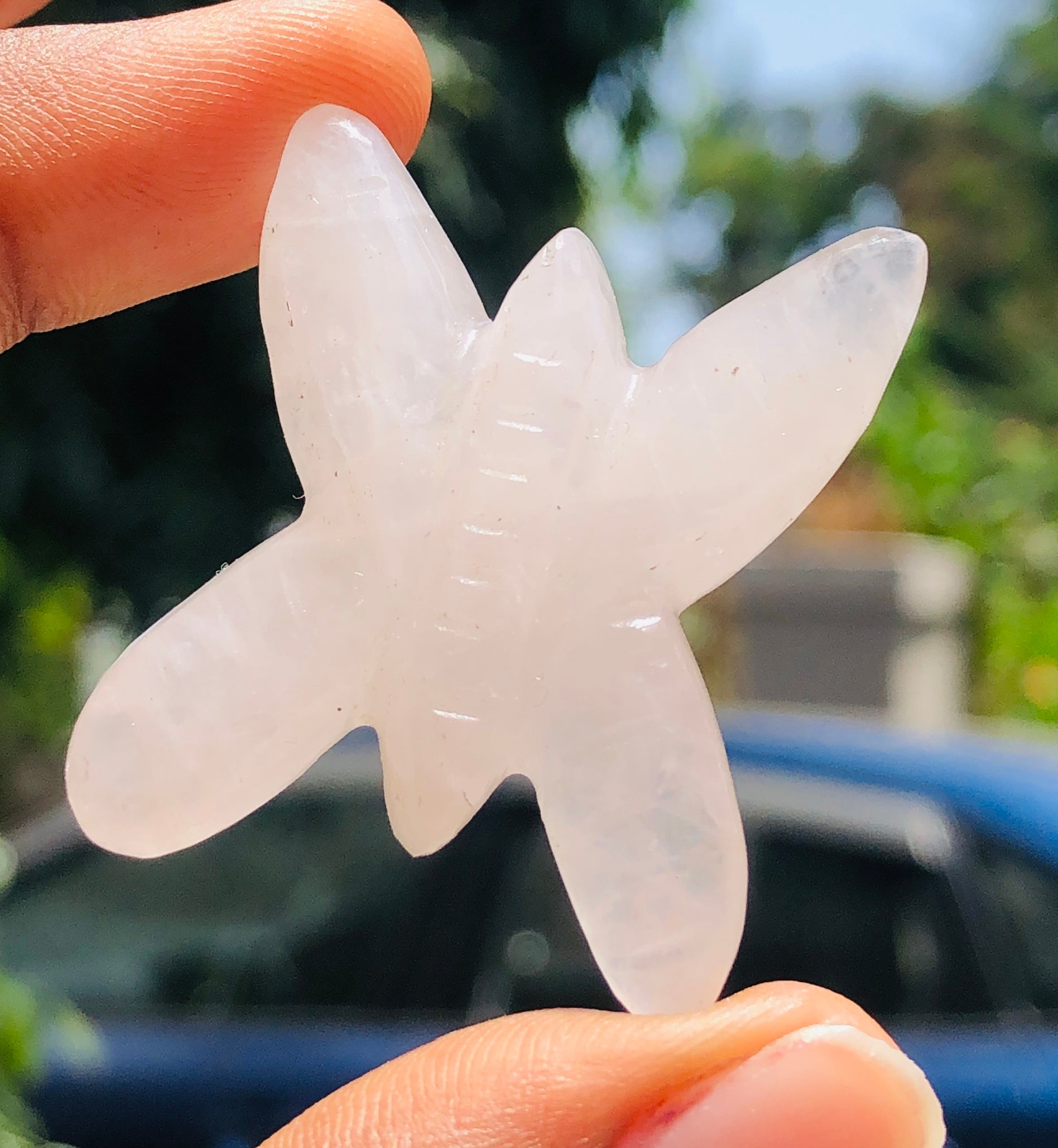 Stunning 62.00 Cts Genuine Rose Quartz Crystal Carved Premium Butterfly 2026  Collection