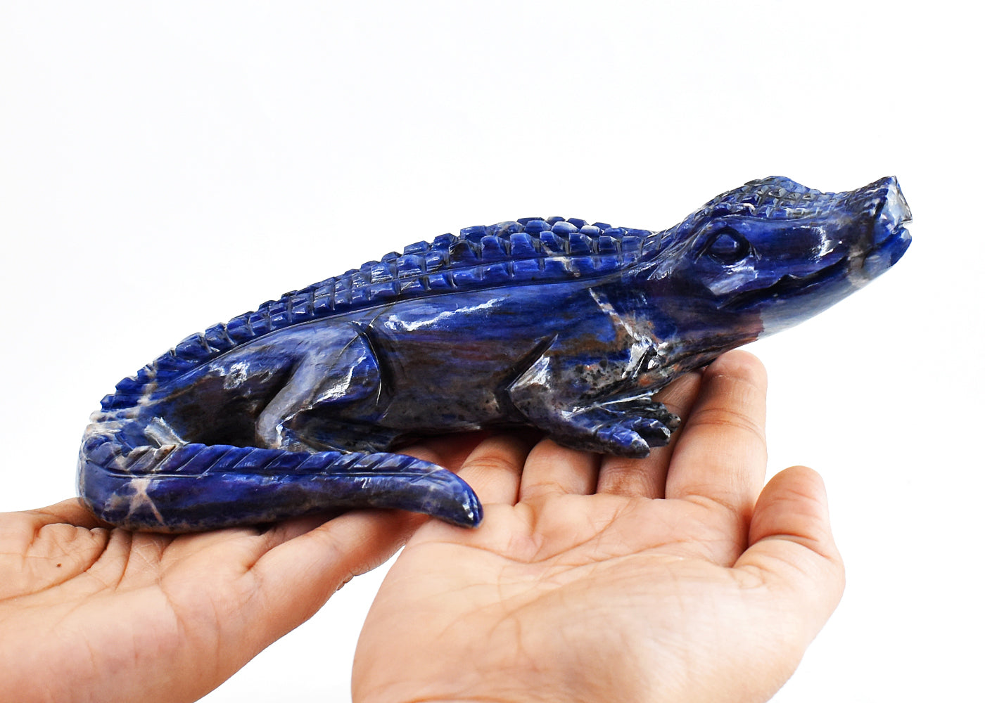 Natural 3571.00 Carats Genuine Sodalite Hand Carved Crystal Crocodile Gemstone Carving