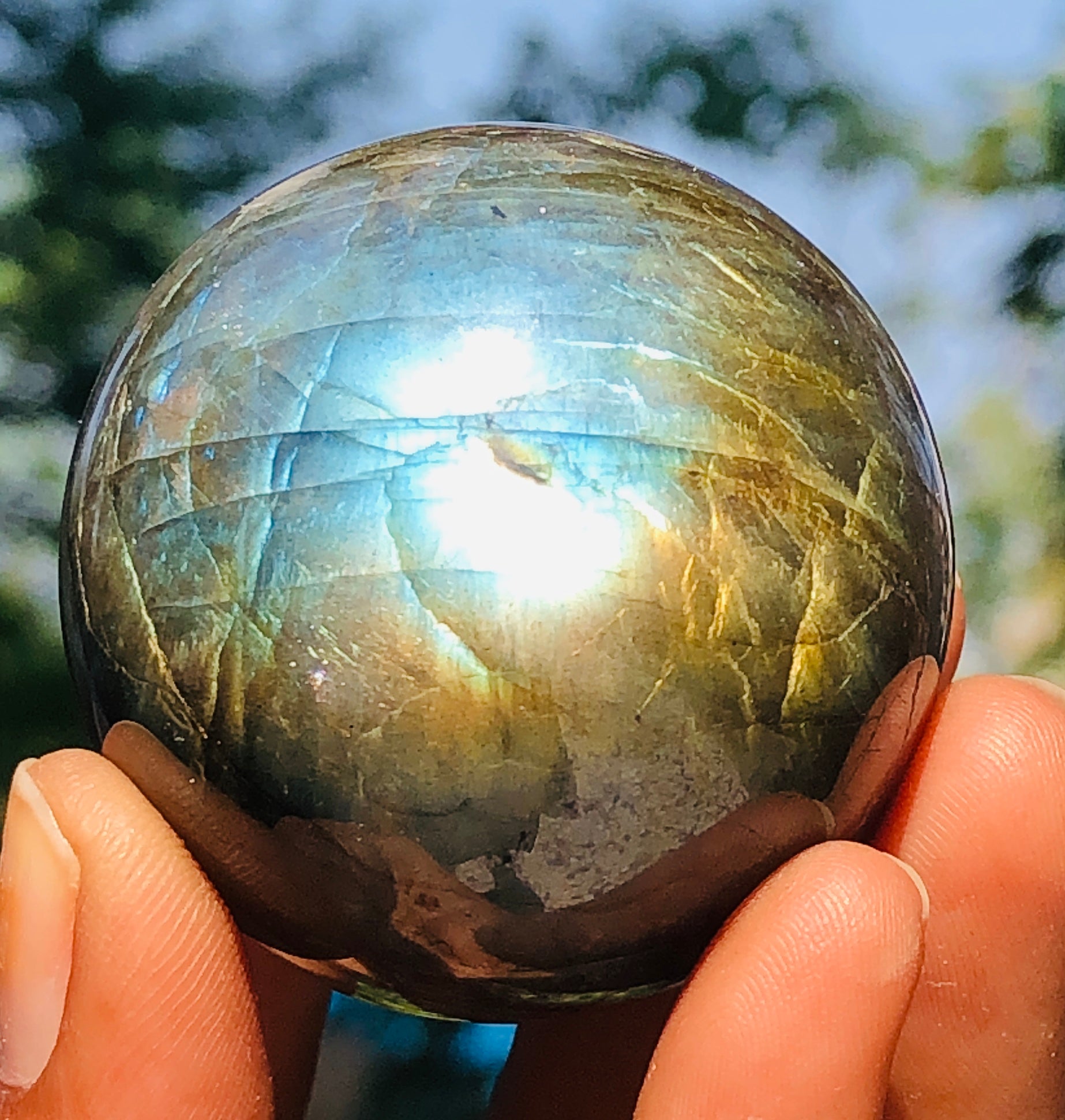 Elegant 586.00 Cts Genuine Golden & Blue Flash Labradorite Healing Ball Premium Sphere Crystal