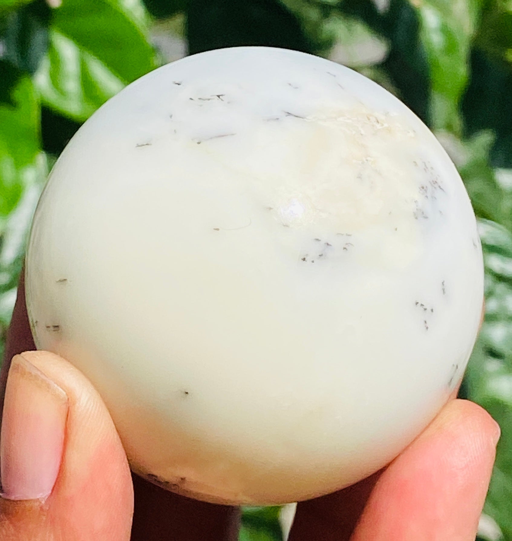 Exclusive 628.00 Cts Genuine Dendrite Opal Carved Healing Sphere