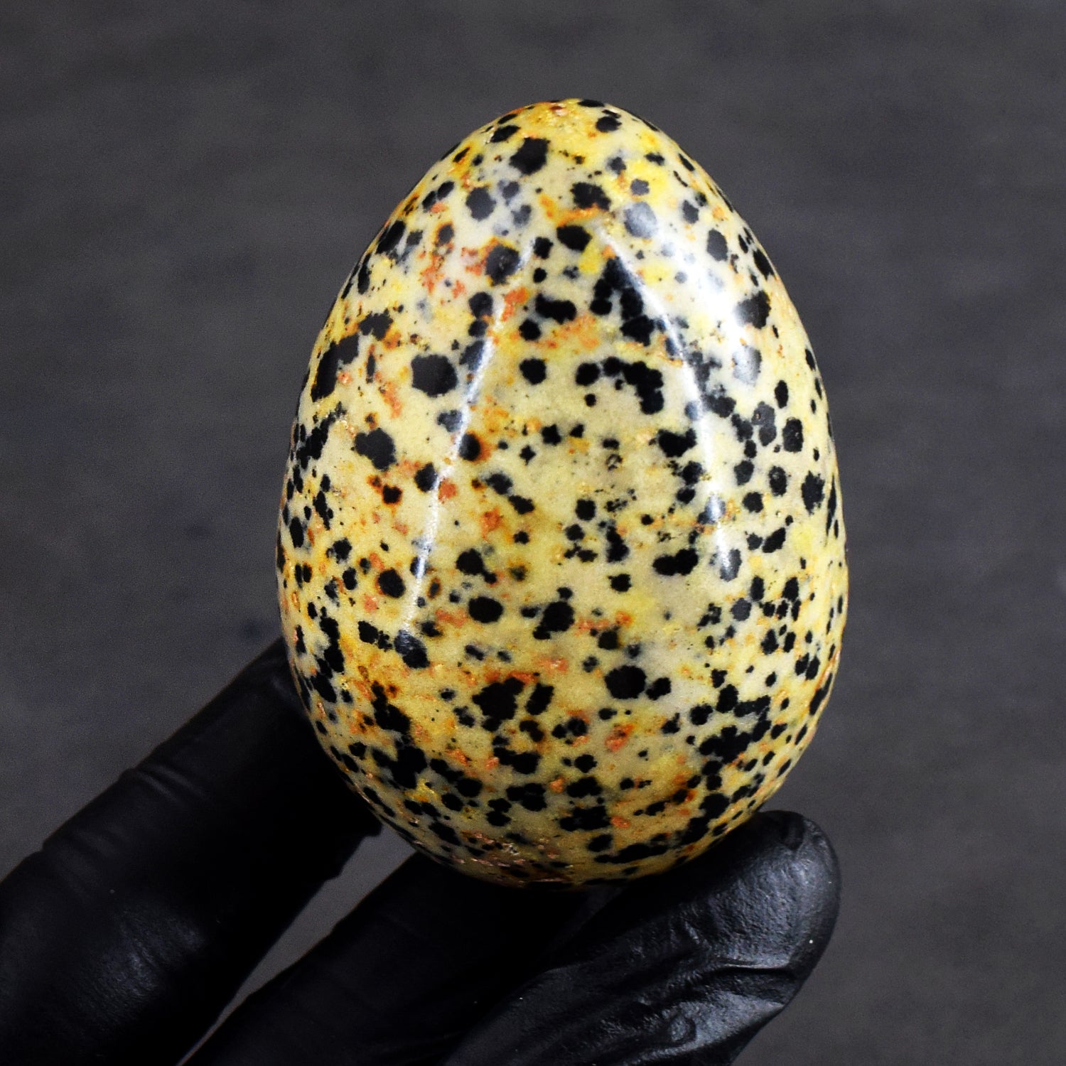 Artisian 782.00 Cts Genuine Dalmation Jasper Premium Crystal Healing Egg