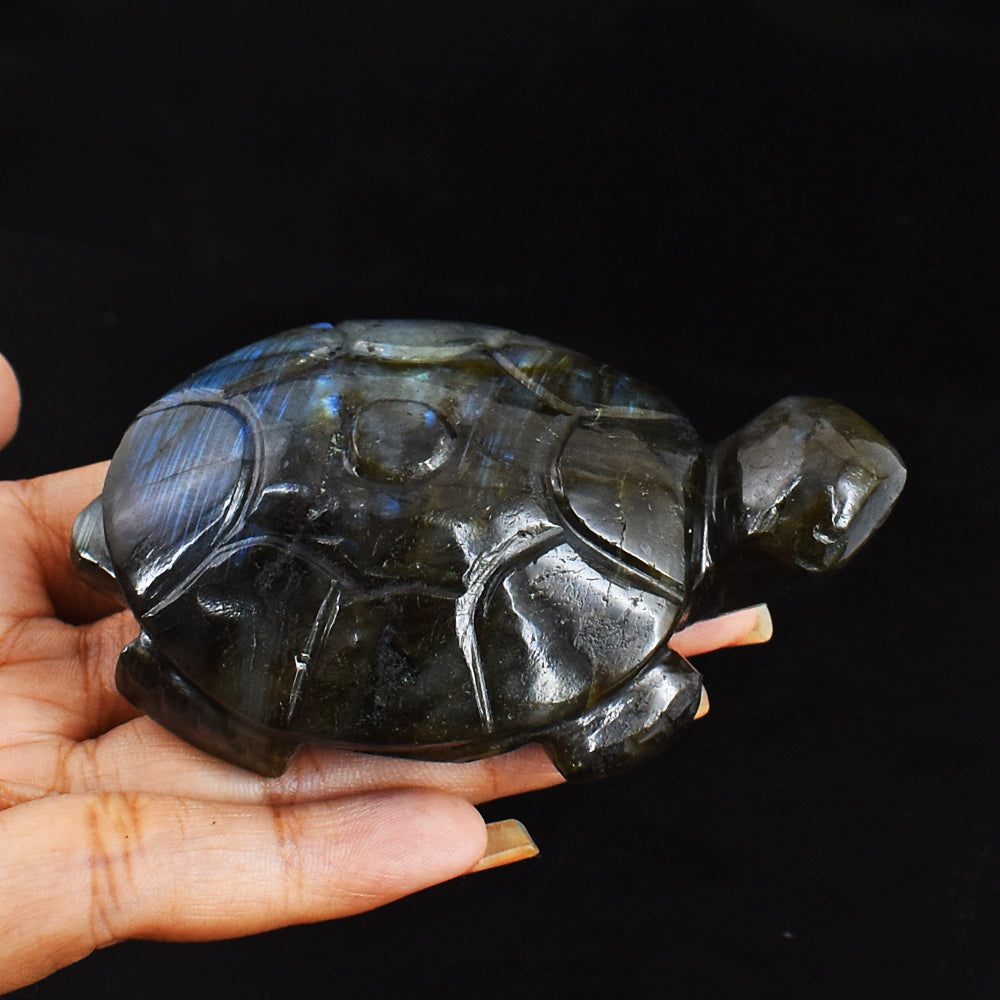 Artisian  694.00 Carats Genuine Blue & Golden Flash Labradorite Hand Carved  Crystal  Turtle Carving