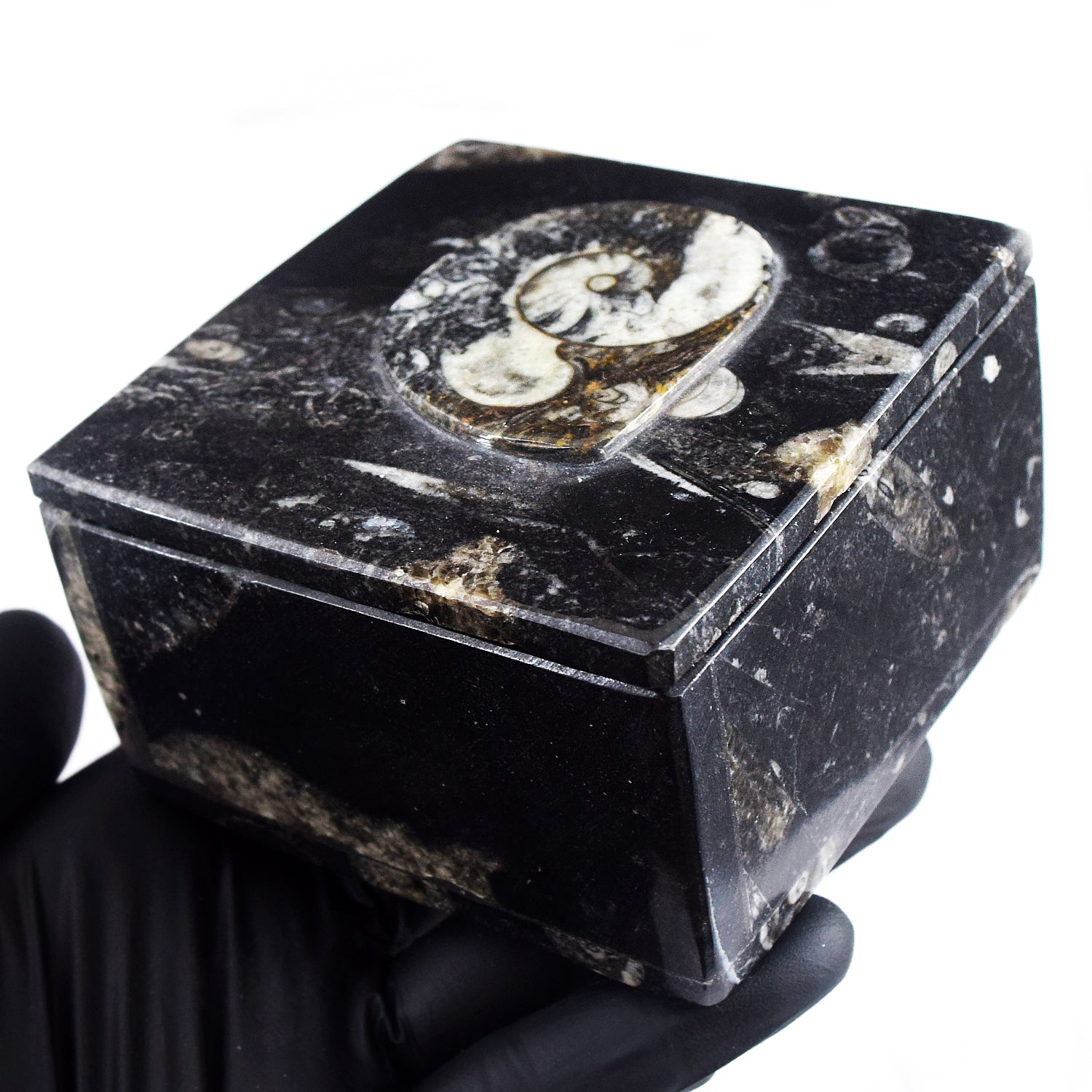 Magnificent 2292.00 Cts Genuine Orthoceras Crystal Specimen Square Shape Box