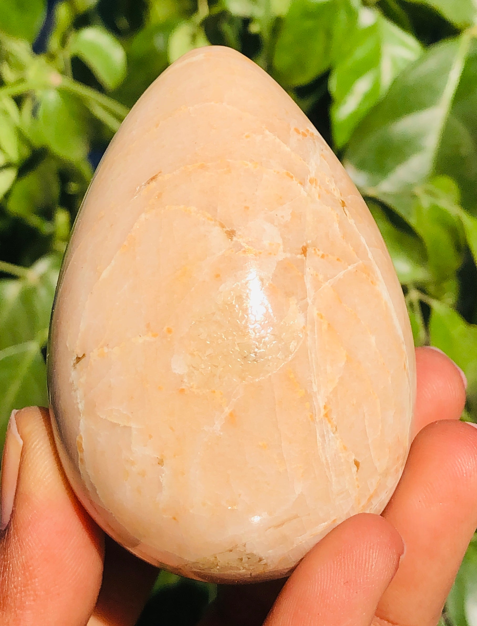 Pleasing 872.00 Cts Genuine Peach Moonstone Crystal Specimen Healing Gemstone Egg