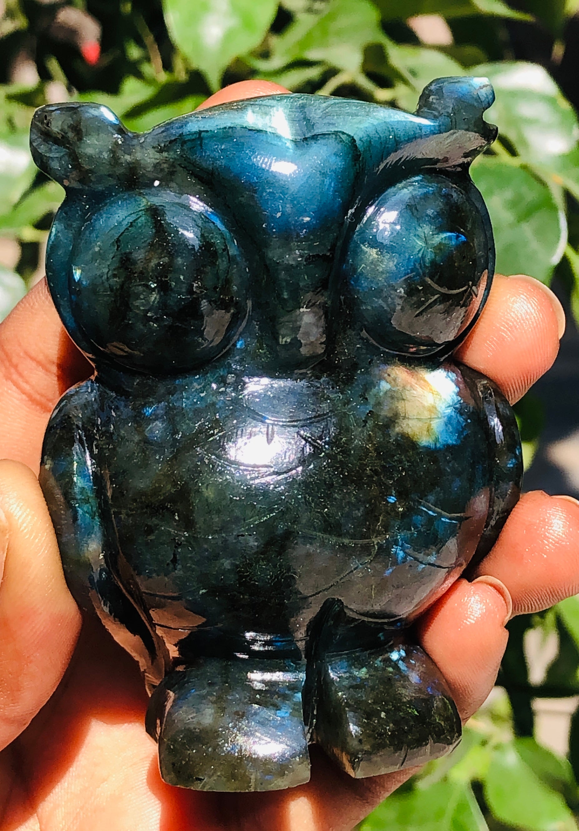 Perfect 1070.00 Cts Genuine Golden & Blue Flash Labradorite Hand Carved Premium Owl Crystal
