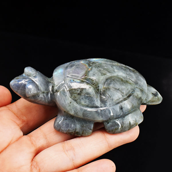 Amazing  712.00 Carats Genuine Blue Flash Labradorite Hand  Carved Crystal Turtle Carving