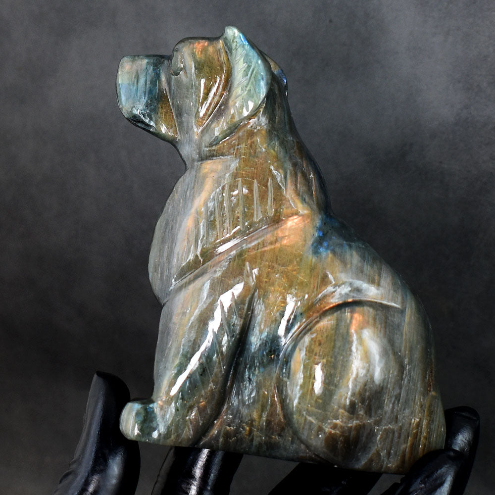 Craftsmen 1956.00 Cts Genuine Orange & Blue Flash Labradorite Hand Carved Dog Crystal Gemstone Carving