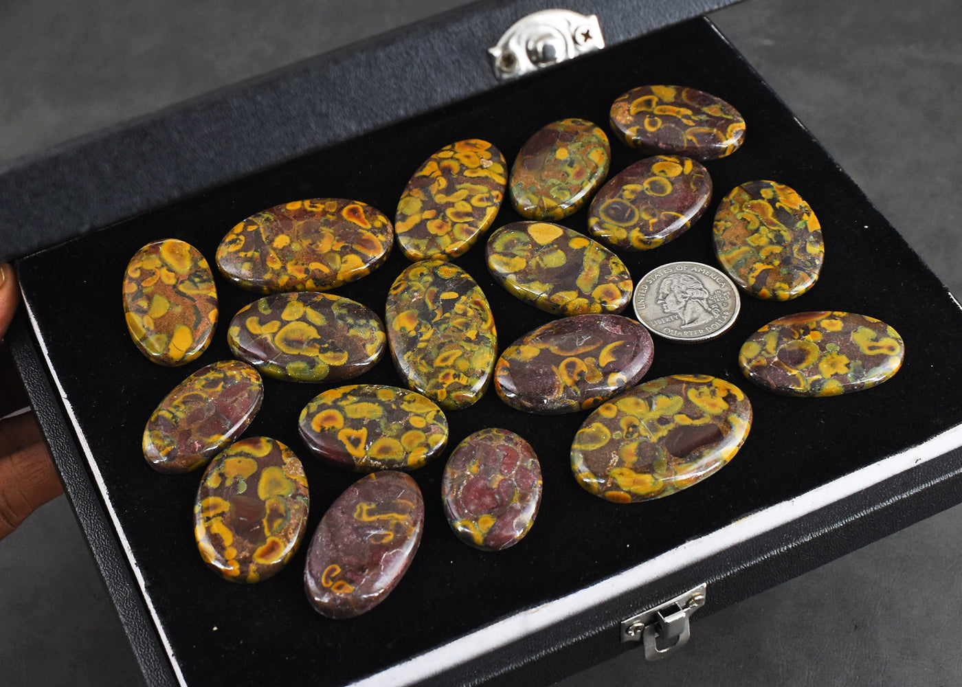 Beautiful 700.00 Cts Genuine Fruit Jasper Untreated Gemstone Cabochon Lot