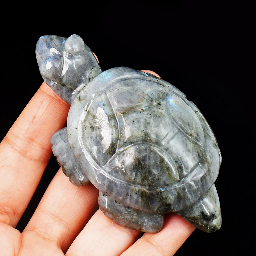 Amazing  712.00 Carats Genuine Blue Flash Labradorite Hand  Carved Crystal Turtle Carving