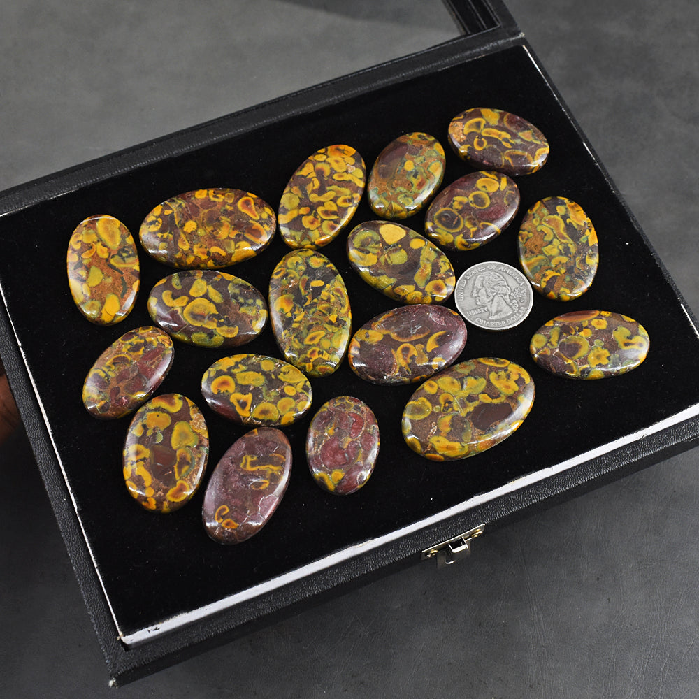 Beautiful 700.00 Cts Genuine Fruit Jasper Untreated Gemstone Cabochon Lot