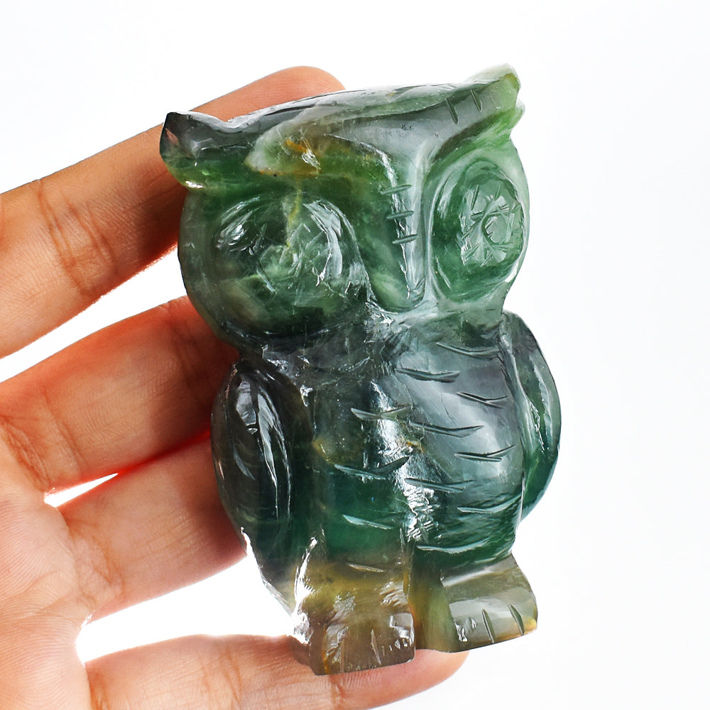 Exclusive  1237.00 Cts Genuine Multicolor Fluorite Hand Carved Crystal Gemstone Owl Carving