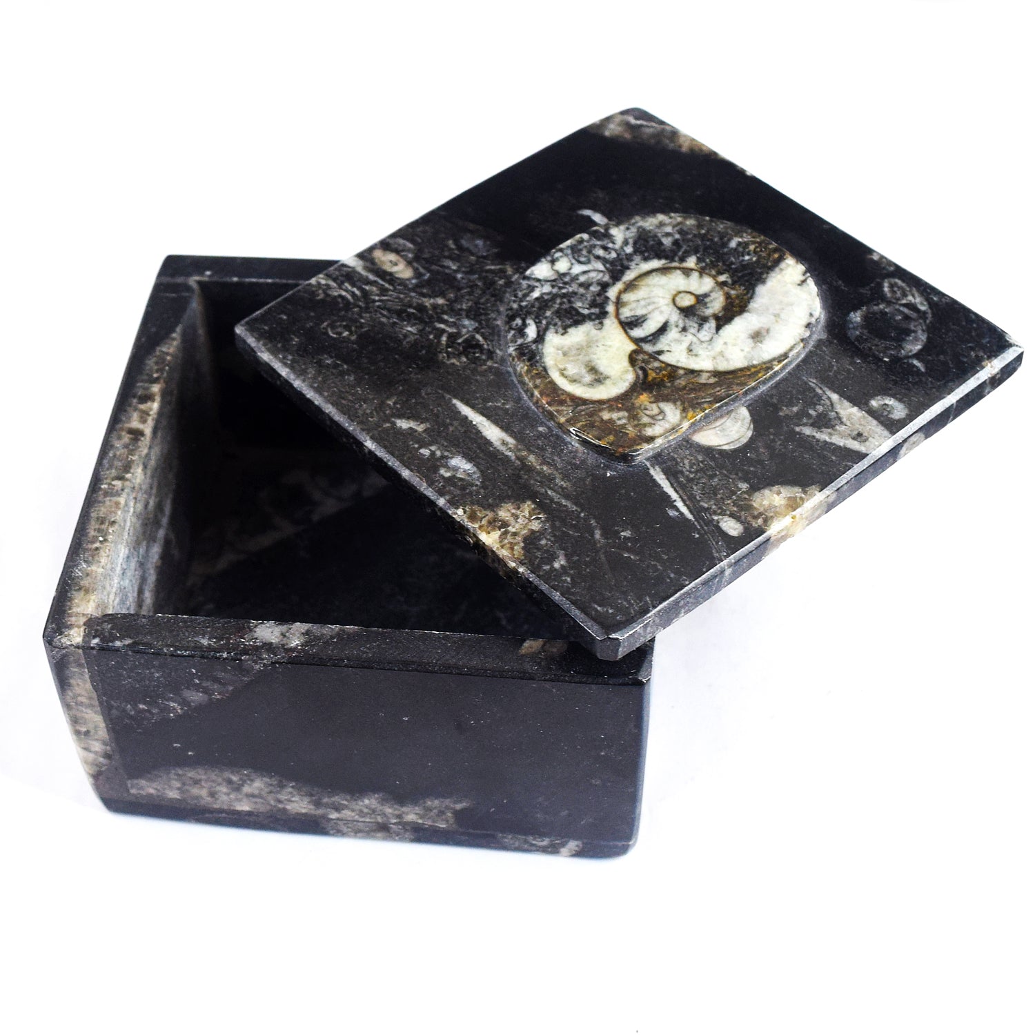 Magnificent 2292.00 Cts Genuine Orthoceras Crystal Specimen Square Shape Box