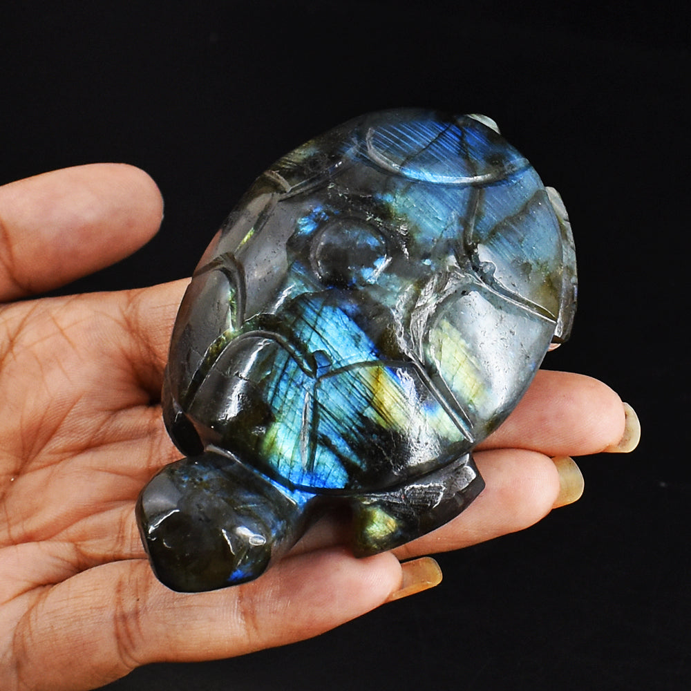 Artisian  694.00 Carats Genuine Blue & Golden Flash Labradorite Hand Carved  Crystal  Turtle Carving